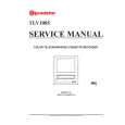 ROADSTAR TLV-1085 Manual de Servicio