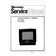 ROADSTAR CTV5501/I Manual de Servicio